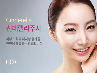 신데렐라주사