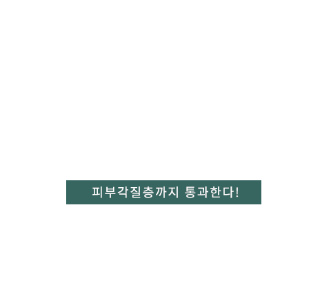 이온자임 텍스트