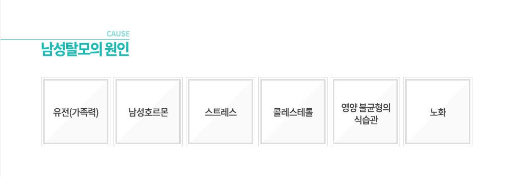 ����Ż���� ���� - ����(������) - ����ȣ���� - ��Ʈ���� - �ݷ����׷� - ���� �ұ����� �Ľ��� - ��ȭ