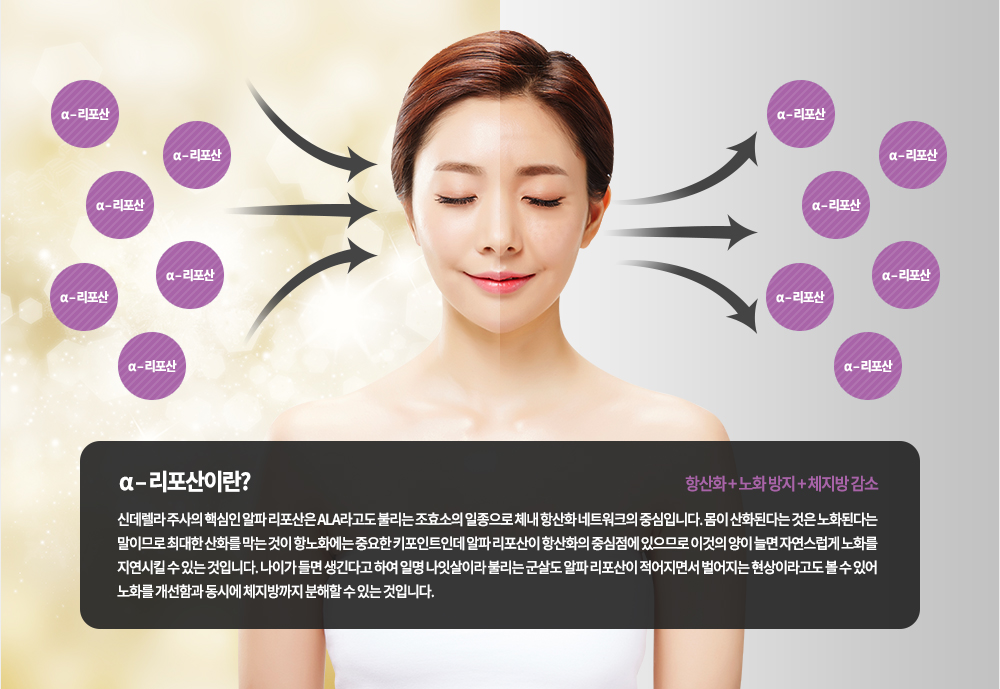 α – 리포산이란? 신데렐라 주사의 핵심인 알파 리포산은 ALA라고도 불리는 조효소의 일종으로 체내 항산화 네트워크의 중심입니다. 몸이 산화된다는 것은 노화된다는 말이므로 최대한 산화를 막는 것이 항노화에는 중요한 키포인트인데 알파 리포산이 항산화의 중심점에 있으므로 이것의 양이 늘면 자연스럽게 노화를 지연시킬 수 있는 것입니다. 나이가 들면 생긴다고 하여 일명 나잇살이라 불리는 군살로 알파 리포산이 적어지면서 벌어지는 현상이라고도 볼 수 있어 노화를 개선함과 동시에 체지방까지 분해할 수 있는 것입니다.