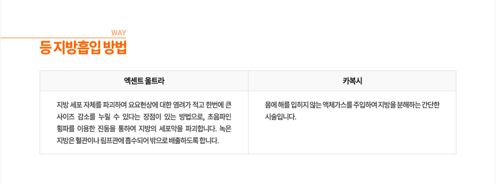 ���� ���
-����Ʈ ��Ʈ��
���� ���� ��ü�� �ı��Ͽ� ������� ���� ������ ���� �ѹ��� ū ������ ���Ҹ� ���� �� �ִٴ� ������ �ִ� �������, �������� Ⱦ�ĸ� �̿��� ������ ���Ͽ� ������ �������� �ı��մϴ�. ���� ������ �����̳� �������� �����Ǿ� ������ �����ϵ��� �մϴ�.
-ī����
���� �ظ� ������ �ʴ� ��ü������ �����Ͽ� ������ �����ϴ� ������ �ü��Դϴ�.
