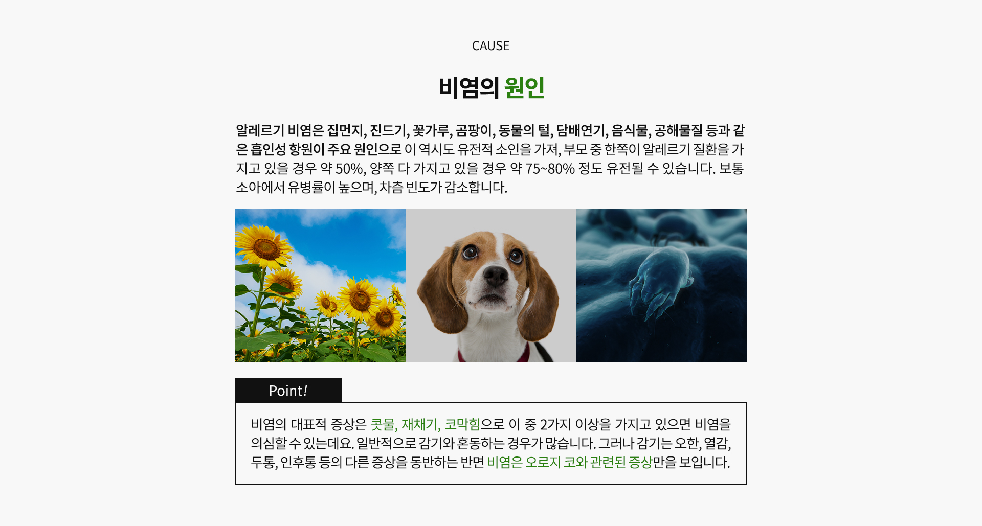 비염 원인