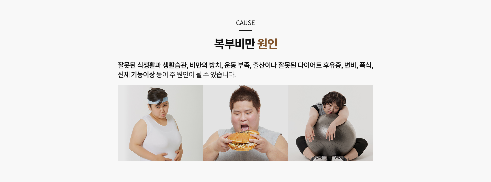 고도비만 내용