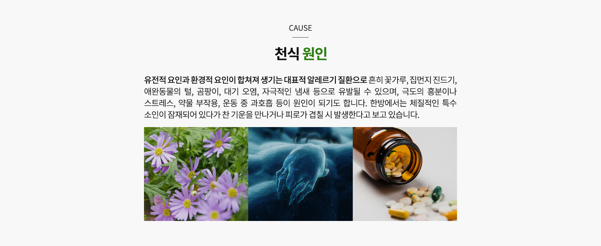 천식 원인
