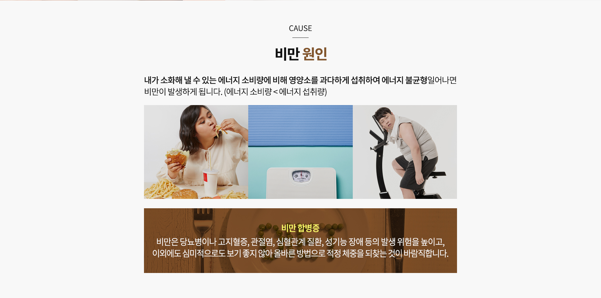 한방다이어트 내용