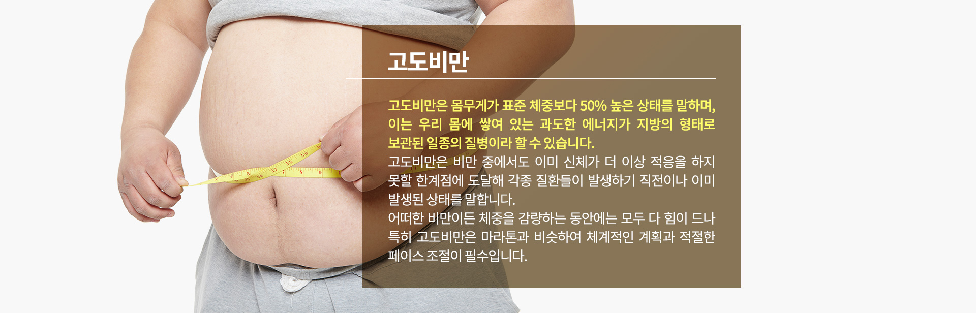 고도비만 내용
